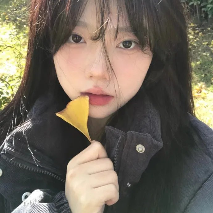少年维特